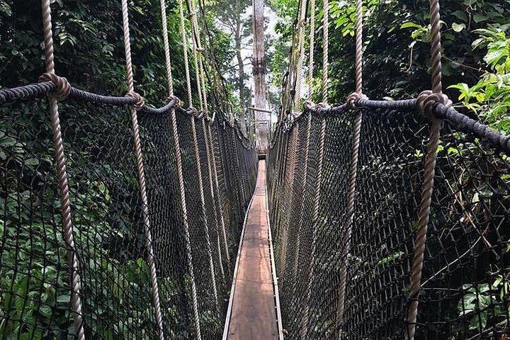 ケープコースト城、カクム国立公園、エルミナ城