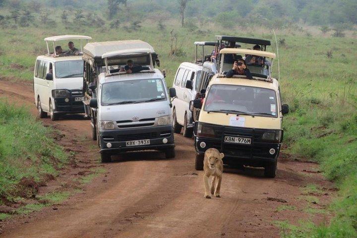 Half-Day Nairobi National Park Safari from Nairobi with Free Pickup