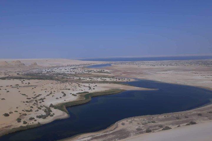 över en dag safari resa till whales valley fayoum oasis