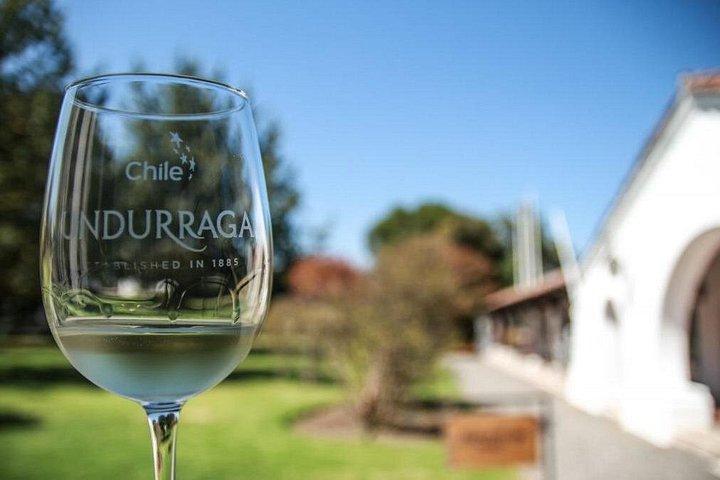 Experience at Undurraga: History and Tasting