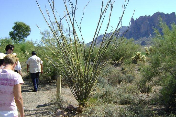 Apache Trail en Dolly Steamboat Van Tour