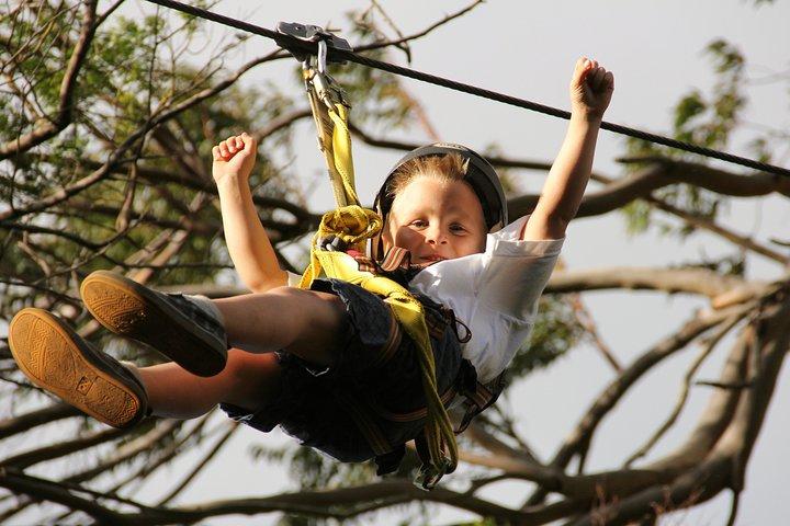 7-Line Maui Zipline på North Shore