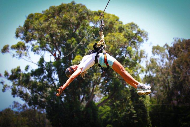 7-Line Maui Zipline på North Shore