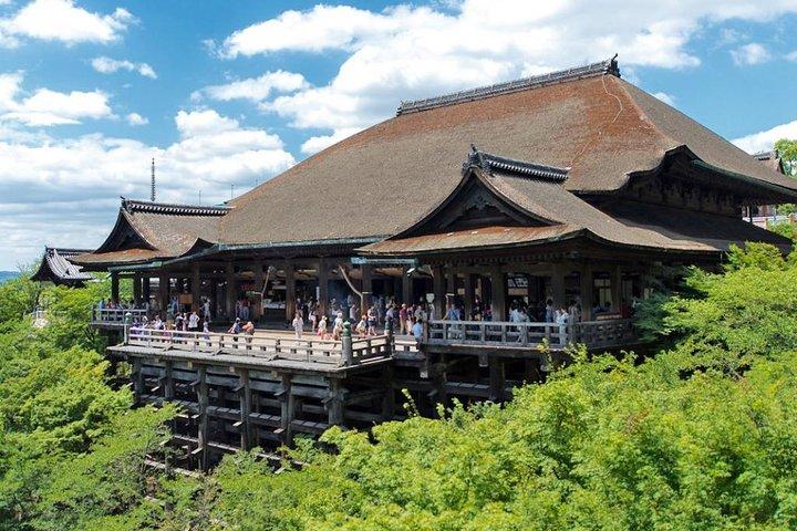英語を話すドライバー付きの大阪市内のプライベートノアハイヤー