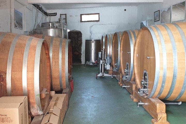 Tour privato di vino, ostriche e ston di Peljesac da Dubrovnik