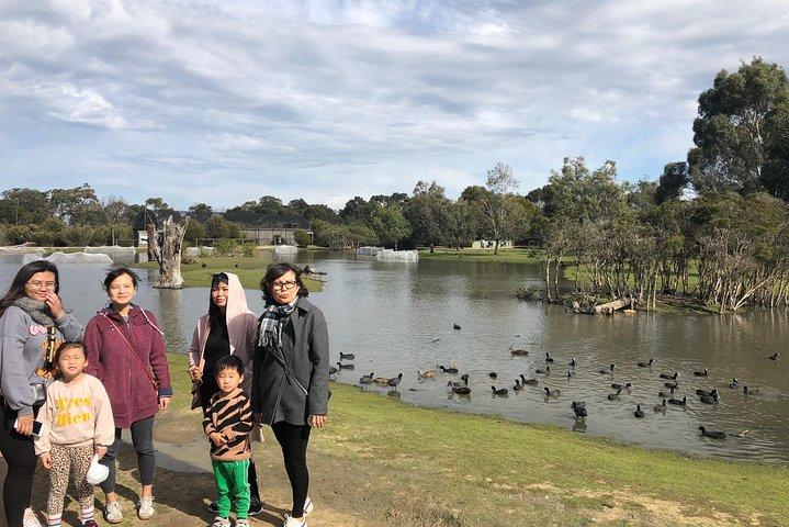 Aventure privée avec les pingouins de Phillip Island