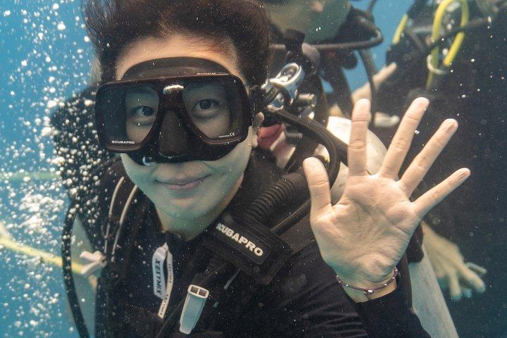 Tour de buceo en barco de 4 horas a tortugas marinas gigantes de arrecife de coral increíblemente divertido