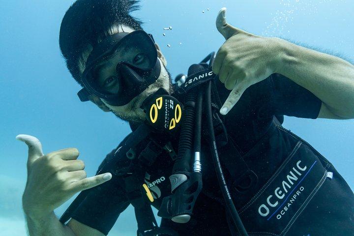 Tour de buceo en barco de 4 horas a tortugas marinas gigantes de arrecife de coral increíblemente divertido