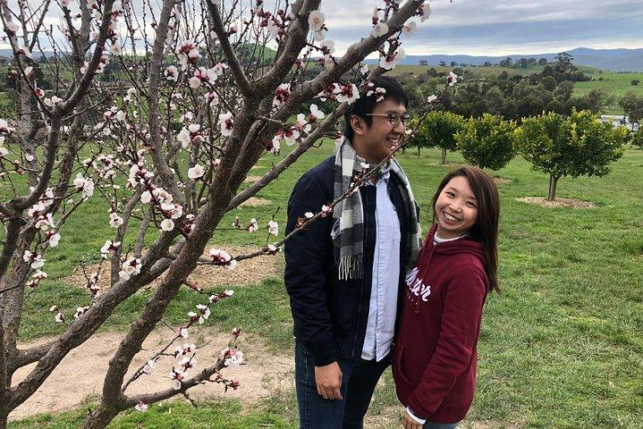 Privat Yarra Valley And Puffing Billy Tour