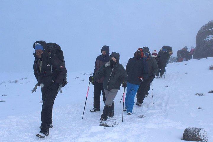 Mount Kilimanjaro Trek 8 days Lemosho Route