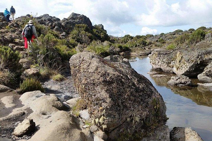 Mount Kilimanjaro Trek 8 days Lemosho Route