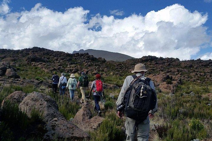 Mount Kilimanjaro Trek 8 days Lemosho Route