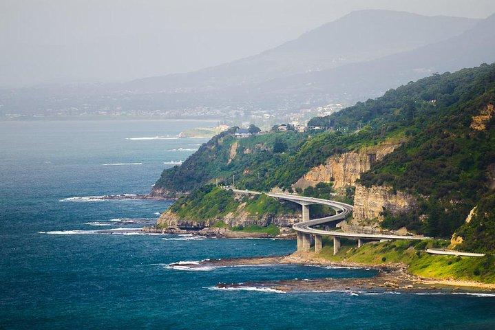 Wildlife, Wine & Waves – Episches Südküstenabenteuer ab Sydney