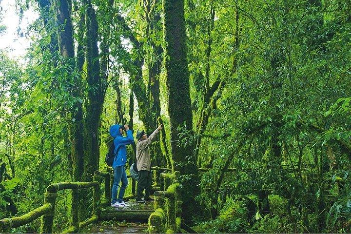 Doi Inthanon, Waterfall + Royal Project de Chiang Mai com almoço