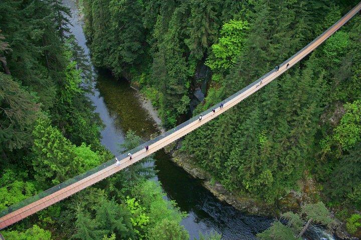 Efter krydstogt: Vancouver Tour med Lookout og Capilano Bridge