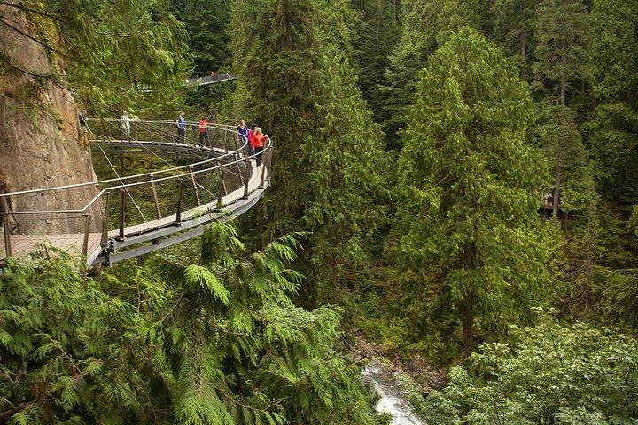 Udflugt efter krydstogt: Capilano Suspension Bridge & Grouse Mountain