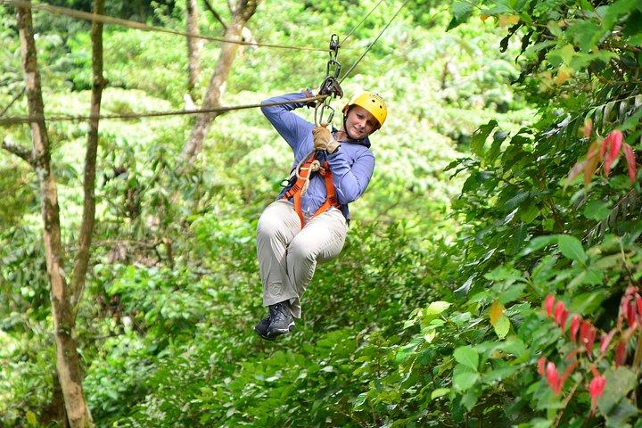 アレナル火山の麓でキャノピーとターザンスイングを楽しむ