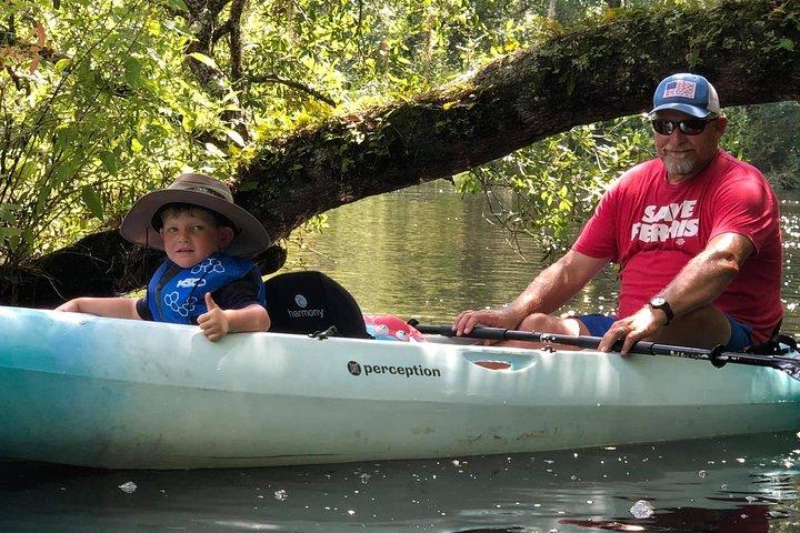 Visite guidée écologique en kayak: véritable aventure en Floride
