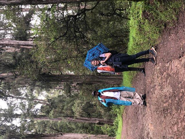 Day Trip To Menagesha Suba Forest