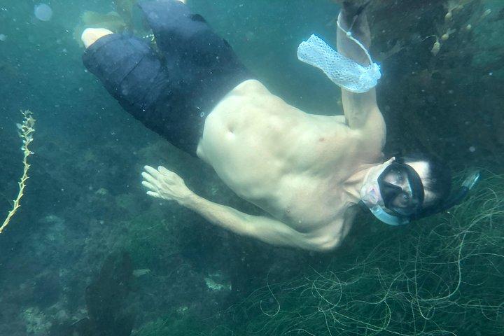 Mergulho com snorkel em Los Angeles