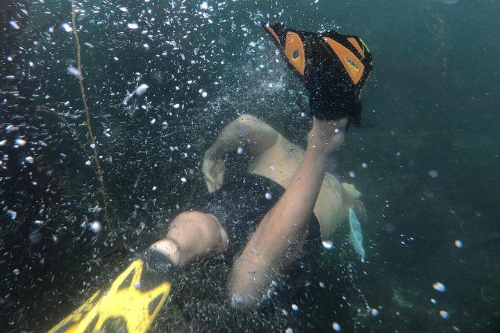 Mergulho com snorkel em Los Angeles