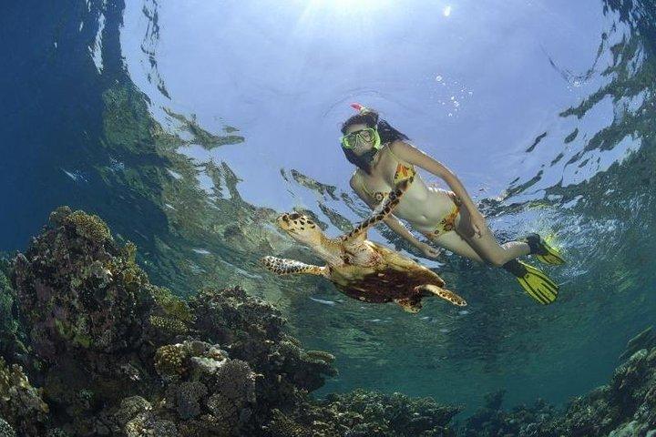 Dahab Safari & Snorkeling a Blue Hole