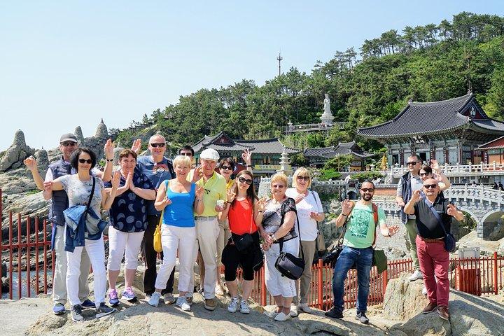 Volledige dag privétour door Busan met gelicentieerde gids