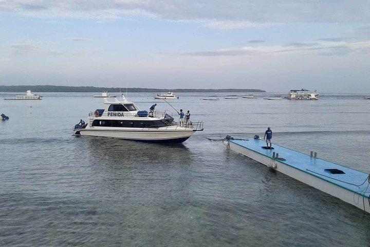 Diviértete 1 día en Nusa Penida: snorkeling, kelingking y playa rota con almuerzo incluido