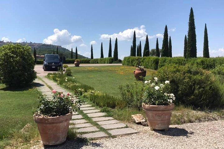 Chianti-side wijntour met kleine groep met Mercedes V klasse Van