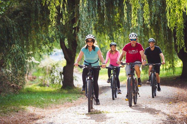 アロータウンからクィーンズタウン終日自転車アドベンチャー