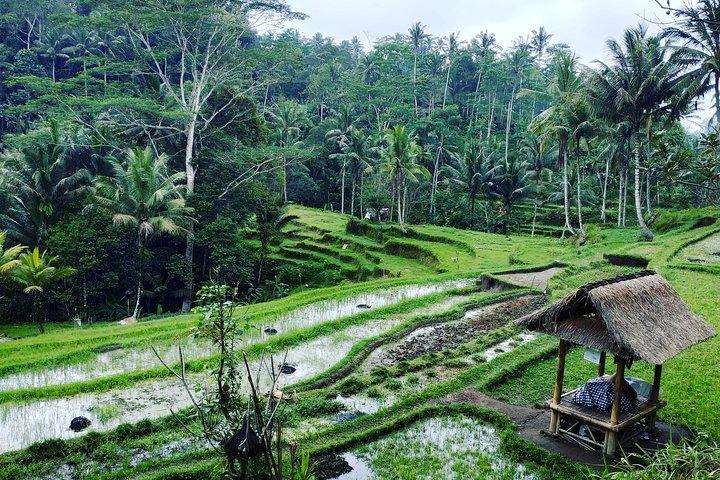 Best of Bali tours privés personnalisés