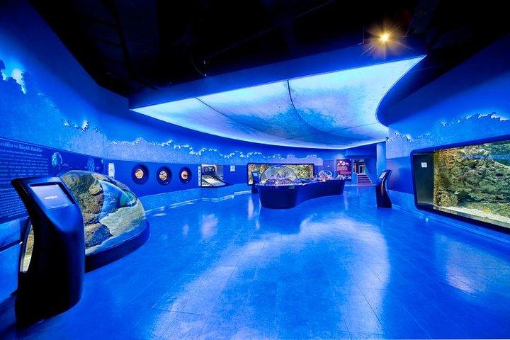 Istanbul Aquarium and Aqua Florya Independent Shopping Trip