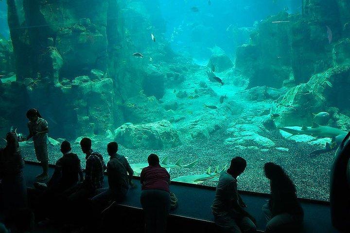 Istanbul Aquarium and Aqua Florya Independent Shopping Trip