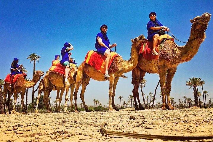 Quad och Camel rida i palmgrove i Marrakech