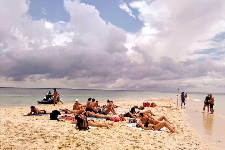 Sandbank Picnic e Dhow Sailing with Seafood Lunch