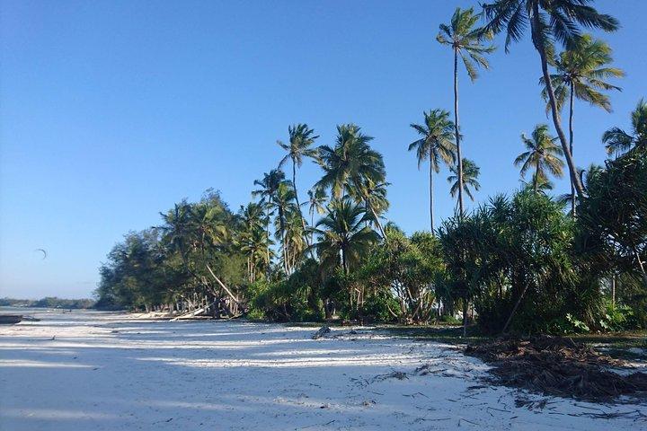 Sandbank Picnic e Dhow Sailing with Seafood Lunch