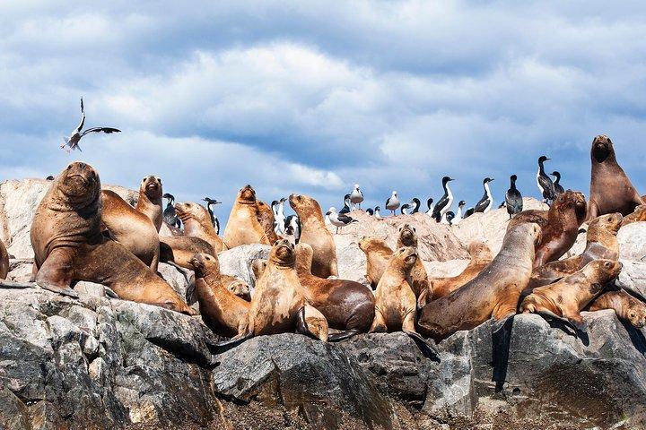 Beagle Channel Navigation with Minitrekking