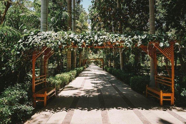 アスワン植物園ツアー＆フェルッカ帆船乗船