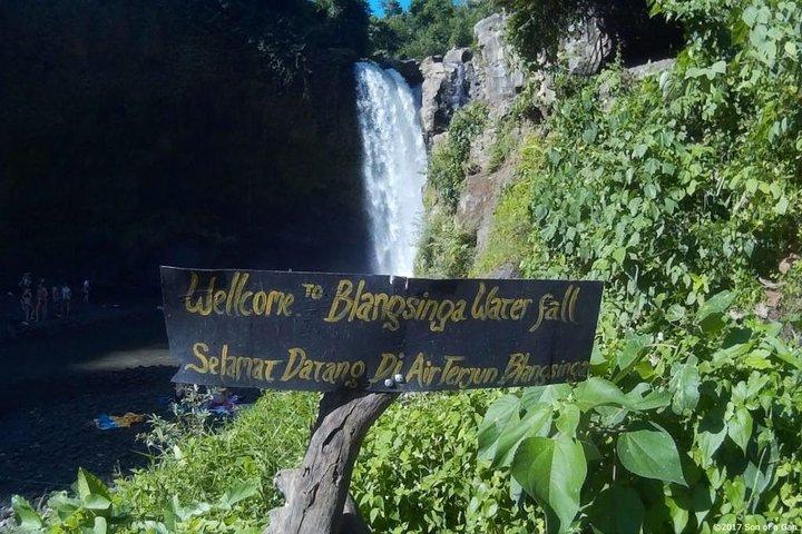 Bali-höjdpunkter: Privata 2-dagars Bali-turer