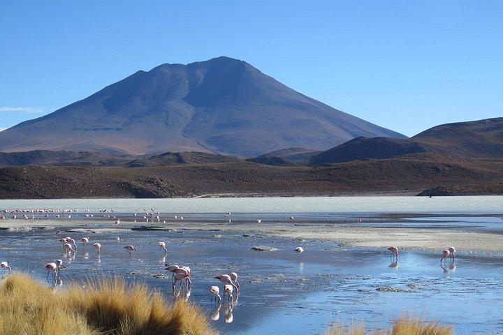 Uyuni Salt Flats & Colored Lagoons – 3-Day Journey
