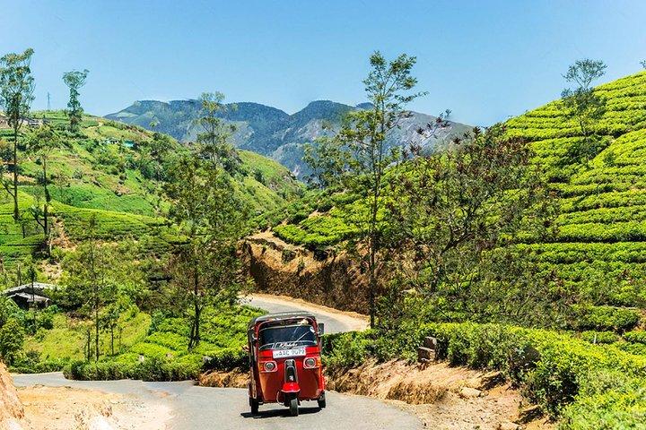 Kandy City Tour