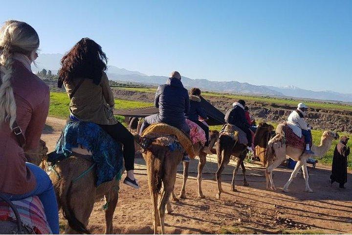 Wüste Agafay Kamelreiten Atlas Berge Wanderung All-Inclusive