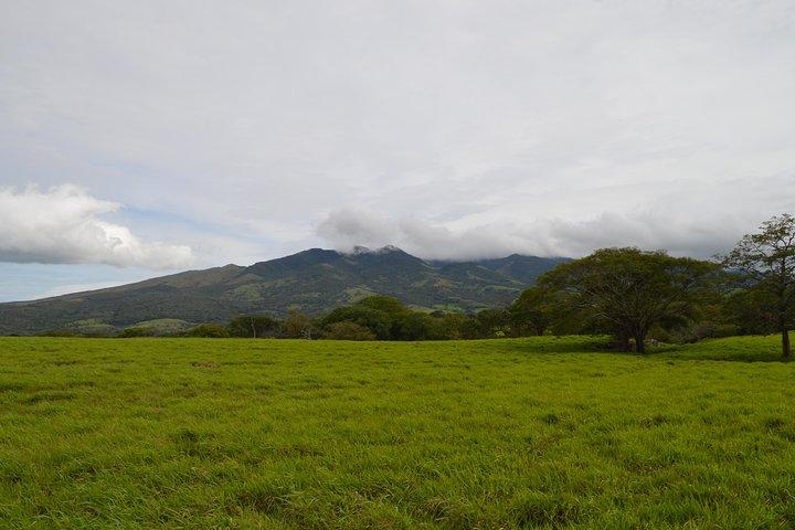 Wildlife Nature Hike, Blue Waterfall, Lunch & Sloth Trail - Tenorio Volcano Park