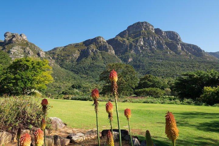 5 dage Cape Town til Garden Route