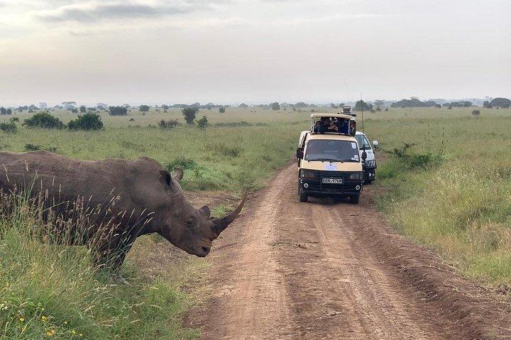 Hoteller i nærheden af Nairobi National Park Safari–Adventure at City’s Edge