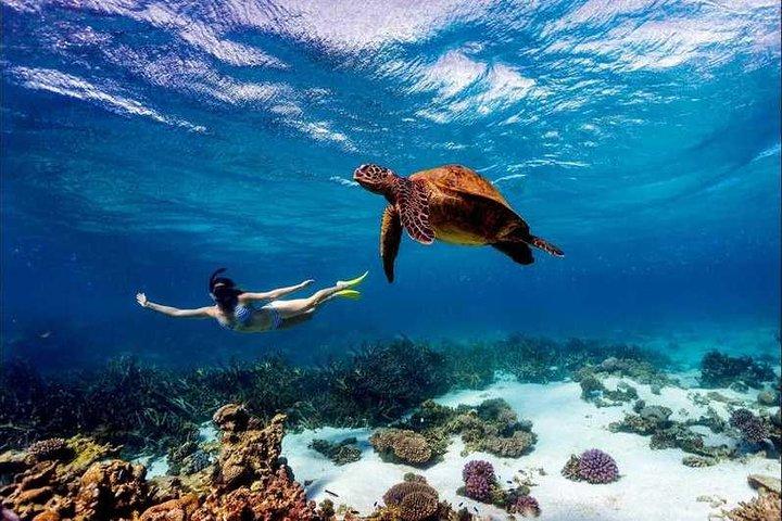 Forfait vacances 4 jours à Diani Beach avec train SGR (minimum 2 personnes)