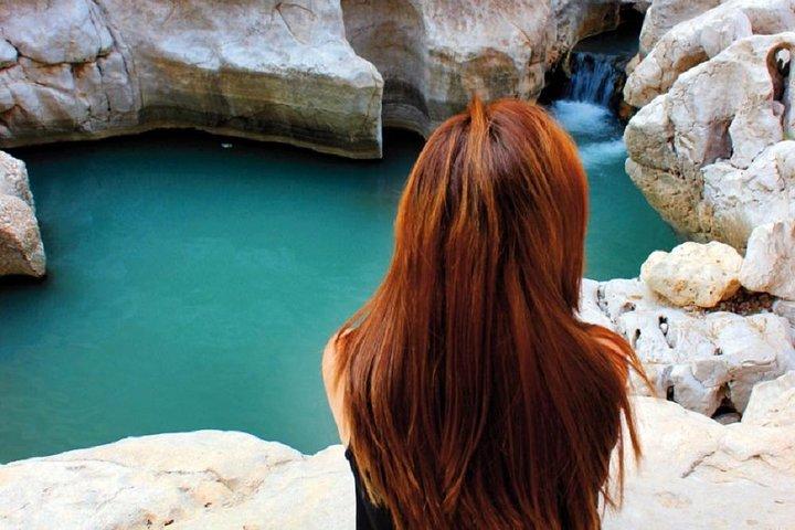 Wadi Shab heldagstur