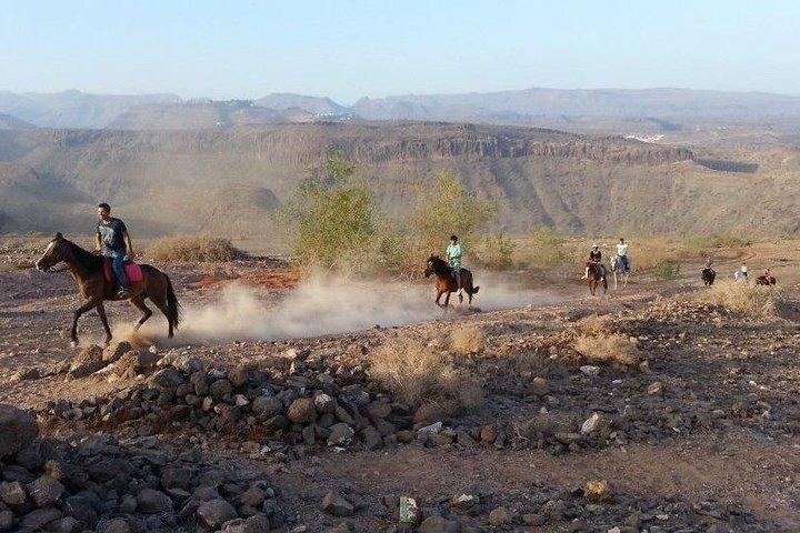 La meilleure expérience d'équitation à Gran Canaria (1 heure)