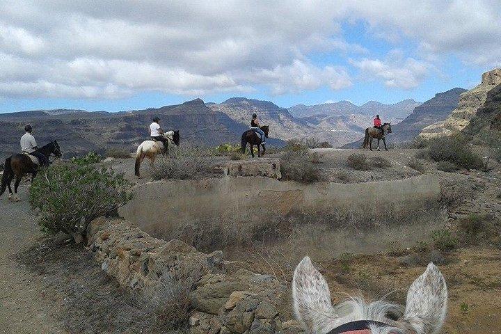 Den bedste ridetid på Gran Canaria (2 timer)