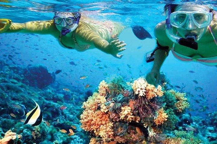 カタマランでのイスラ・ムヘレスツアー（シュノーケル、オープンバー、ランチ付き）
